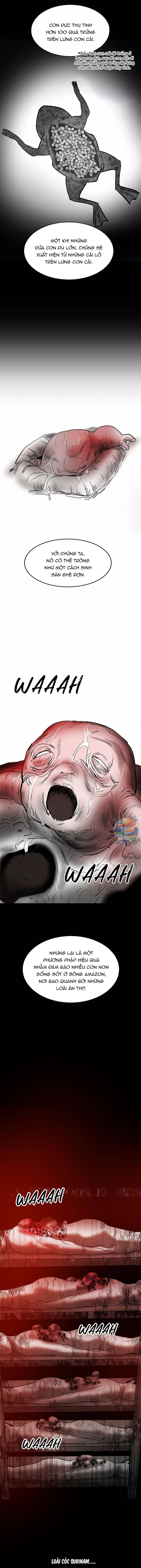 Lướt Tiếp Nếu Bạn Dám - Chapter 10