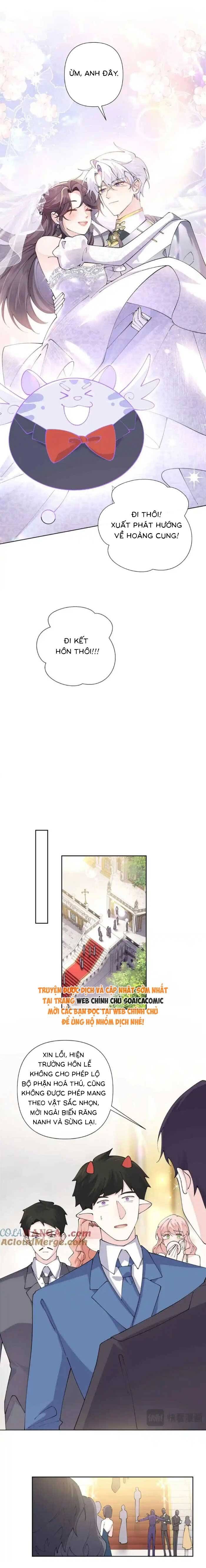 Ban Ngày Đào Hôn, Ban Đêm Lại Được Xin Ôm - Chapter 66