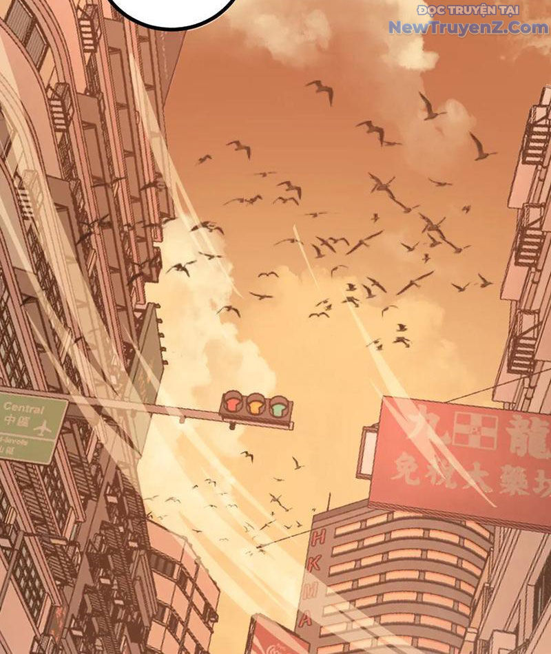 Thích Khách Thần Cấp, Ta Chính Là Bóng Đêm - Chapter 20