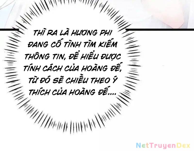 Phơi Bày Thân Phận Nữ Của Hoàng Đế - Chapter 23