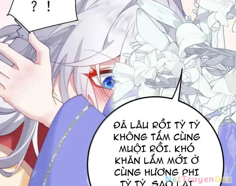 Phơi Bày Thân Phận Nữ Của Hoàng Đế - Chapter 23
