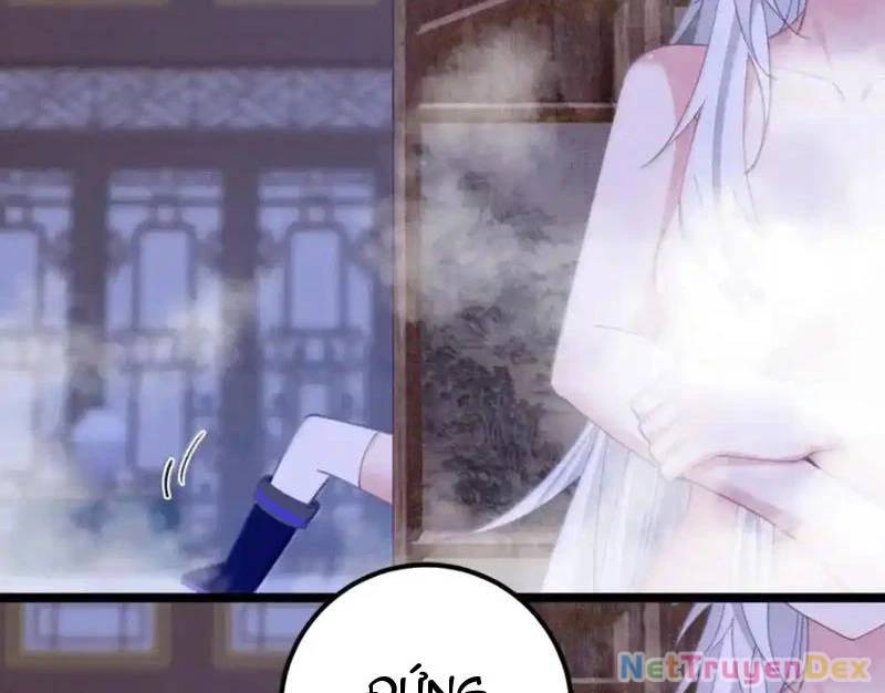 Phơi Bày Thân Phận Nữ Của Hoàng Đế - Chapter 23