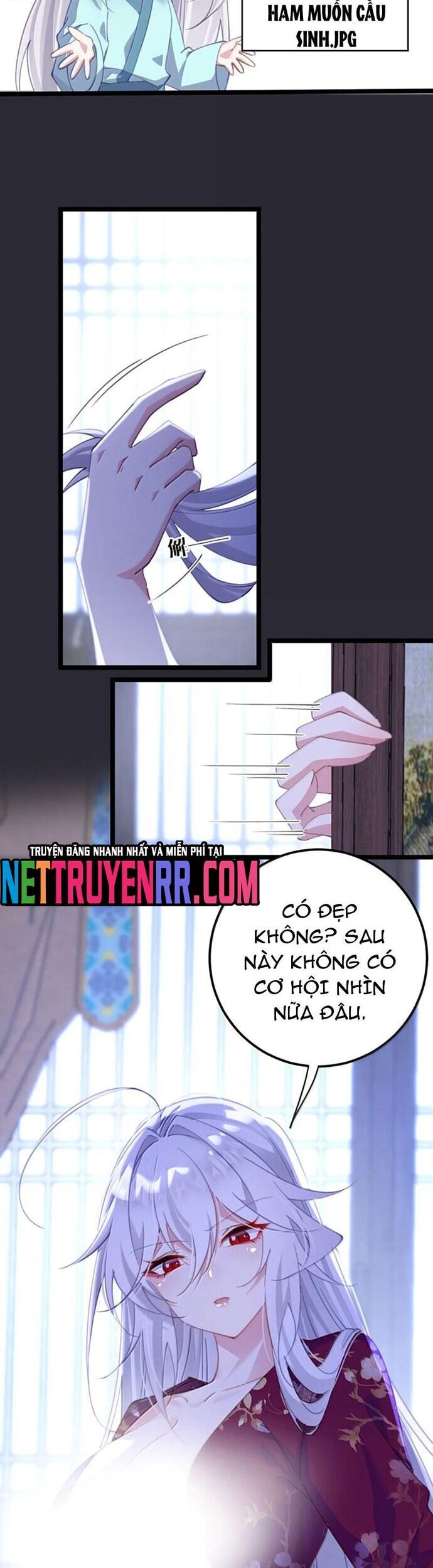 Phơi Bày Thân Phận Nữ Của Hoàng Đế - Chapter 46