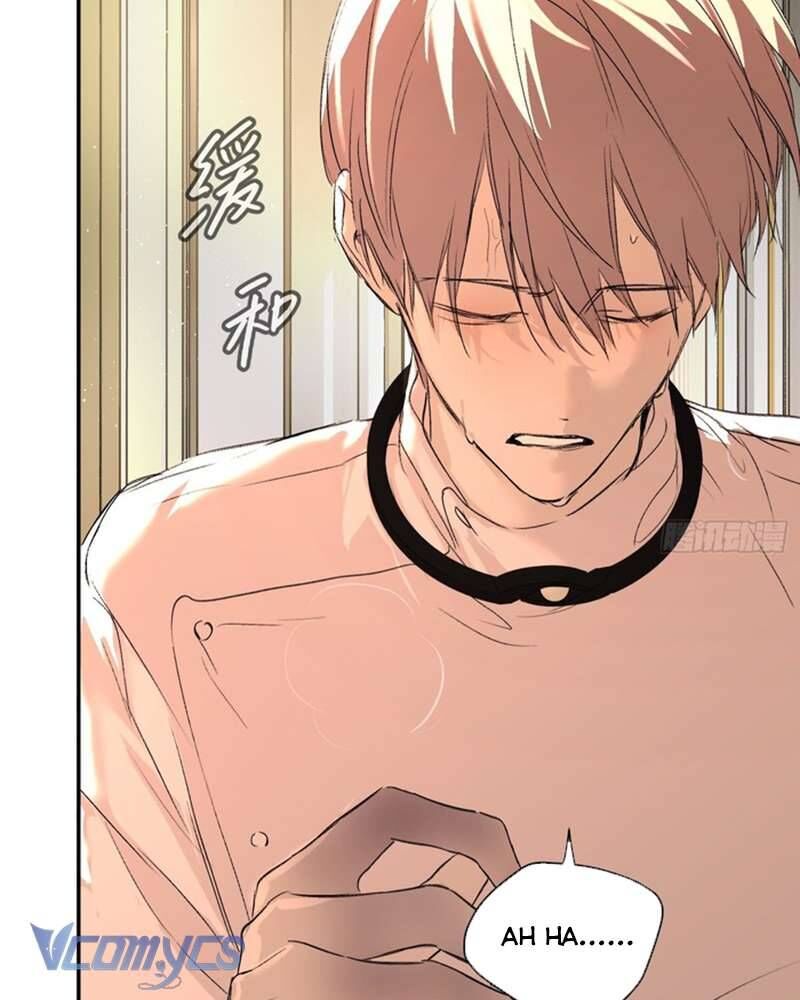Ác Chi Hoàn - Chapter 53