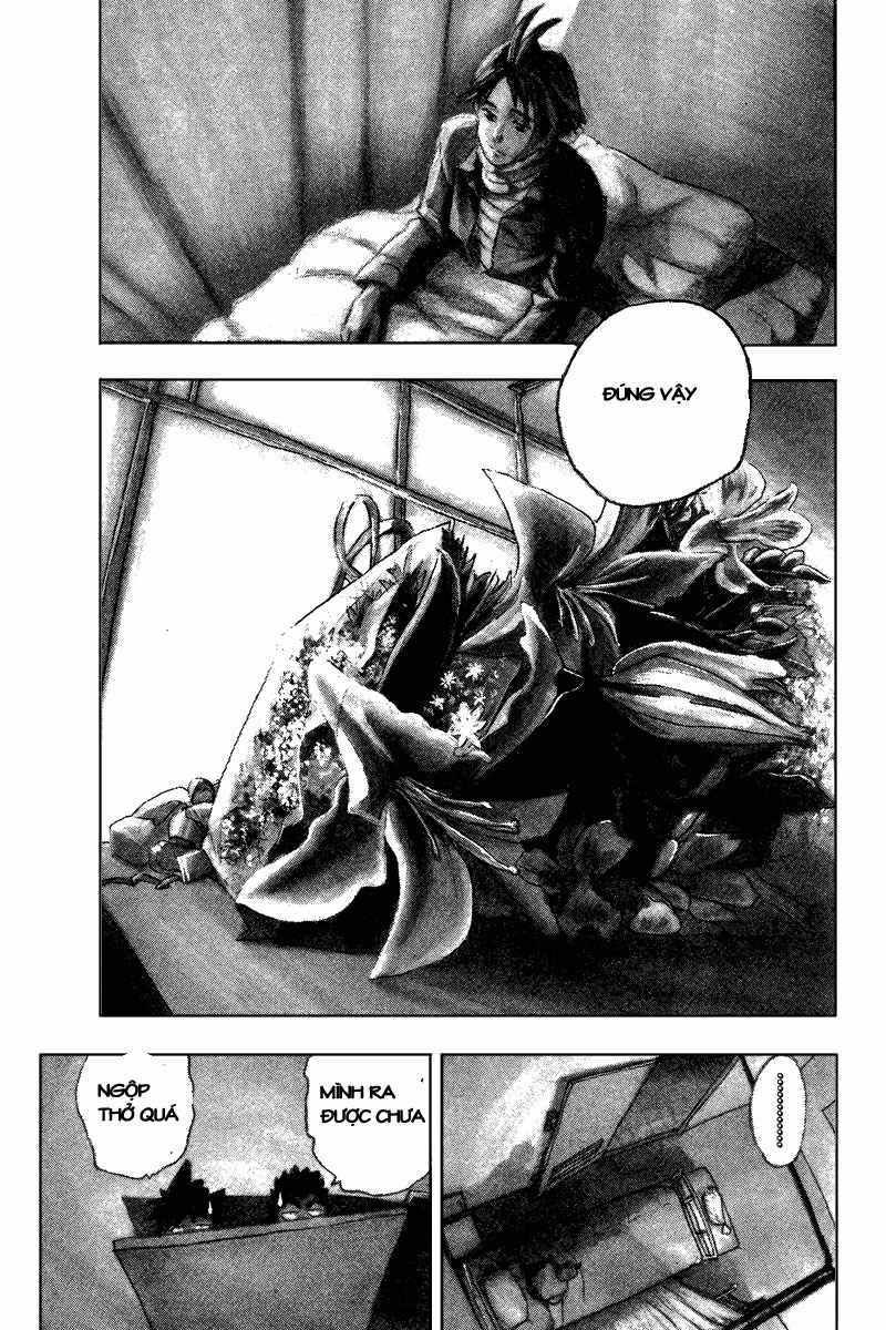 Lá Chắn Mắt - Chapter 37
